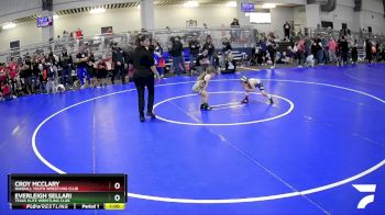 41 lbs Quarterfinal - Everleigh Sellari, Texas Elite Wrestling Club vs Croy McClary, Randall Youth Wrestling Club