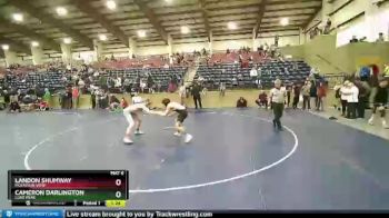 147 lbs Semifinal - Landon Shumway, Mountain View vs Cameron Darlington, Lone Peak