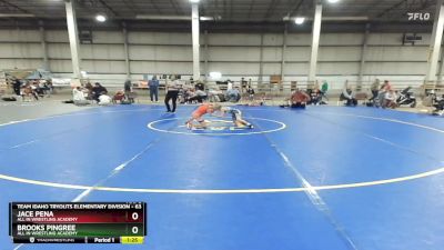 63 lbs Cons. Semi - Jace Pena, All In Wrestling Academy vs Brooks Pingree, All In Wrestling Academy