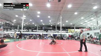 128 lbs Rr Rnd 1 - Anthony Silipo, VHW Red - HSC vs Eli Harrigan, Sly Fox WC - HSC
