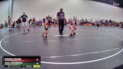 45 lbs Round 7 (8 Team) - Hudson Lemaire, Backyard Brawlers Gold vs Noah Archibeque, Takedown Elite Black