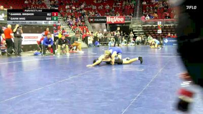 1A-138 lbs Cons. Round 5 - Gabriel Brisker, Wilton vs Gavin Wiig, Woodbury Central