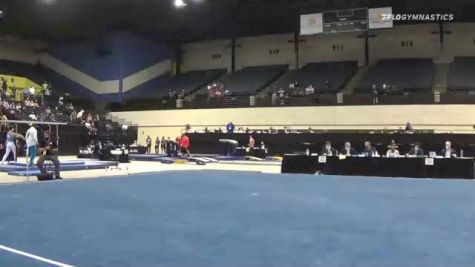 Logan Schmitt - Floor - 2021 USA Gymnastics Development Program National Championships