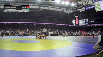D2-165 lbs Quarterfinal - Julian Walker, Algonac vs Kholby Armijo, Paw Paw