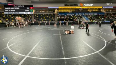 125 lbs Champ. Round 1 - Dani Schedin, New Lenox (Lincoln-Way Central) vs Alaina Carpenter, Clinton