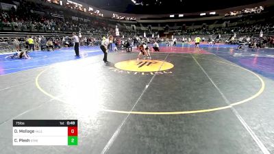 75 lbs Round Of 32 - Dylan Mellage, Yale Street vs Chayce Plesh, Streaks Wrestling Club