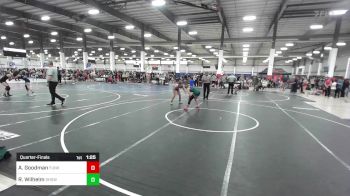 109 lbs Quarterfinal - Allie Goodman, Funk Nasty vs Ruthie Wilhelm, Show Low
