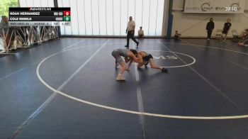 119 lbs Rr Rnd 2 - Noah Hernandez, Ruthless Black vs Cole Rebels, Iron Horse