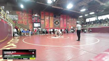 138 lbs Semifinal - Justice Thornton, Columbus North vs Gunner Butt, New Palestine