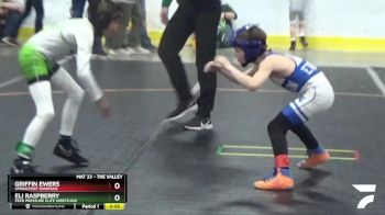 52 lbs Quarterfinal - Eli Raspberry, Peer Pressure Elite Wrestling vs Griffin Ewers, Springport Spartans