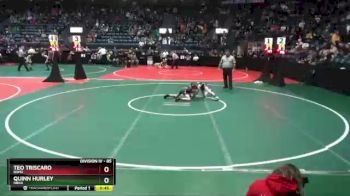 85 lbs Champ. Round 2 - Quinn Hurley, NBHA vs Teo Triscaro, BOM2