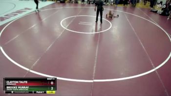 45 lbs Round 1 - Brooks Murray, Anoka Youth Wrestling vs Clayton Taute, Minnesota