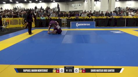 David Mateus Dos Santos vs Raphael Marin Monterrat 2025 World IBJJF Jiu-Jitsu No-Gi Championship