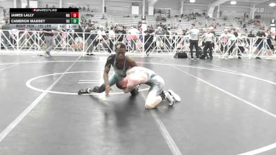 132 lbs Round Of 32 - James Lally, MA vs Cameron Massey, NC