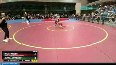 73-80 lbs Round 3 - Micah Wright, Silver State Wrestling Academy vs Aubrey Leinassar, Yerington Lions Wrestling