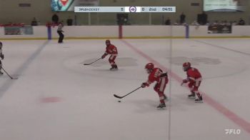 Replay: Home - 2024 Terriers U10 vs Rochester U10 | Nov 29 @ 9 PM