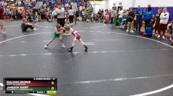47 lbs Semifinal - Sullivan George, Ninety Six Wrestling vs Jameson Short, Summerville Takedown Club