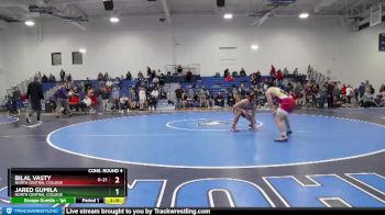 165 lbs Cons. Round 4 - Jared Gumila, North Central College vs Bilal Vasty, North Central College