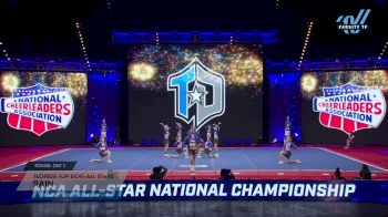 Florida Top Dog All Stars - RAIN [2025 L6 Limited Coed - XSmall Day 1] 2025 NCA All-Star National Championship