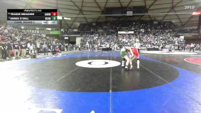 Boys 4A 113 lbs Cons. Round 3 - Derek O`Dell, Richland vs Teague Meagher, Kamiakin