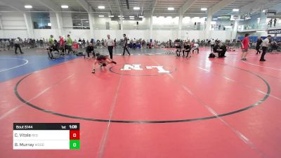 74 lbs Round Of 16 - Collin Vitale, Red Roots WC vs Brooklyn Murray, Woodbury Salem NH