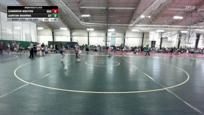 120 lbs Quarterfinal - Cameron Nguyen, Rock Ridge High School vs Aaryan Sharma, South County