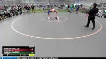 152 lbs Round 3 (6 Team) - Zachary Wallace, Georgia Red vs Cameon Gandolfi, Louisiana