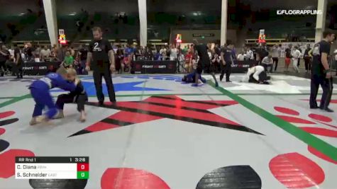 Carson Diana vs Sam Schneider 2019 F2W Colorado Open