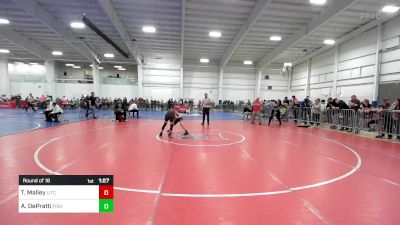 106 lbs Round Of 16 - Timmy Malley, Litchfield vs Alexander DePratti, Fisheye WC