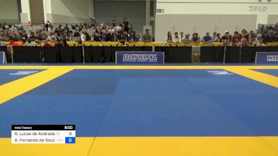 Oscar Alberto Borrego vs Andrea Verdemare 2024 World Masters IBJJF Jiu-Jitsu Championship