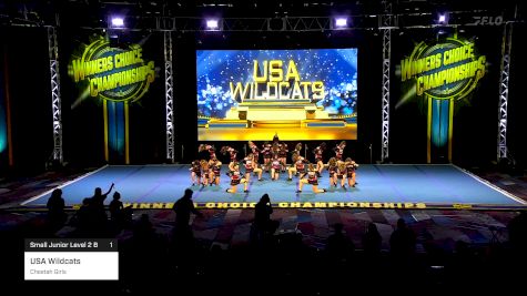 USA Wildcats - Cheetah Girls [2025 Small Junior Level 2 B 1] 2025 Winners Choice Live at Foxwoods