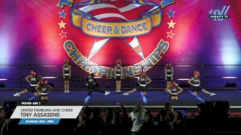 United Tumbling and Cheer - Tiny Assassns [2024 L1.1 Tiny - PREP Day 1] 2024 The American Northwest Portland Nationals