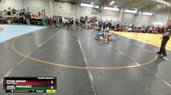 106 lbs Champ. Round 2 - Angel Fernandez, Widefield vs Ethan Brown, Broomfield