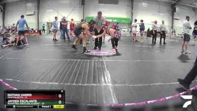 143 lbs Placement (4 Team) - Nathan Harris, Team Palmetto vs Jayden Escalante, Roundtree Wrestling Academy