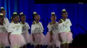 Wildwood Wildcats [2022 Mitey Mite Hip Hop] 2022 Pop Warner National Cheer & Dance Championship