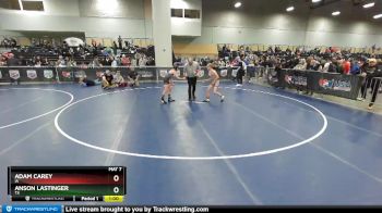 98 lbs Cons. Round 4 - Adam Carey, IA vs Anson Lastinger, TX