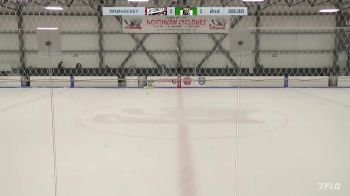 Replay: Home - 2024 Comets vs SS Kings | Feb 11 @ 12 PM