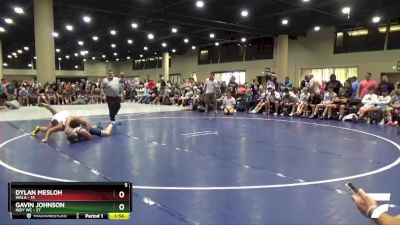 215 lbs Round 3 (6 Team) - Dylan Mesloh, WALA vs Gavin Johnson, Indy WC