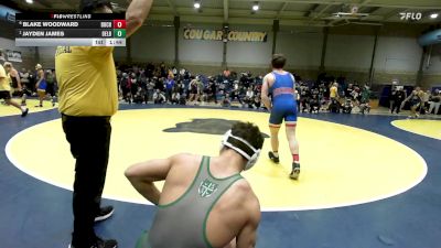 168 lbs Quarterfinal - Blake Woodward, Buchanan vs Jayden James, Delbarton (NJ)