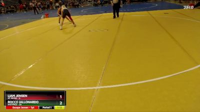 135 lbs Semis & 1st Wrestleback (8 Team) - Liam Jensen, St. Peter vs Rocco Iallonardo, Hastings