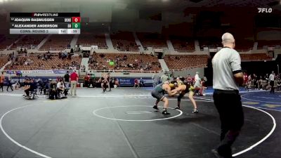 175-D3 Cons. Round 2 - Alexander Anderson, Show Low High School vs Joaquin Rasmussen, Salpointe Catholic High School