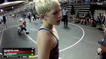 95 lbs Round 2 (6 Team) - Schaeffer Ashby, Utah vs Eli Samuelson, Kansas Cobra