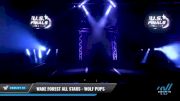 Wake Forest All Stars - Wolf Pups [2021 L2 Mini Day 1] 2021 The U.S. Finals: Myrtle Beach