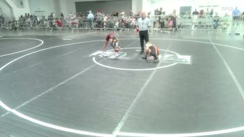64 lbs Quarterfinal - Braelynn Mancilla, Ravage WC vs Triss Vest, Imperial Valley Panthers