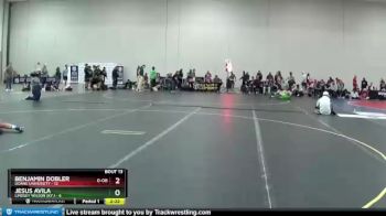 165 lbs Quarters & 1st Wb (16 Team) - Benjamin Dobler, Doane University vs Jesus Avila, Lindsey Wilson (Ky.)