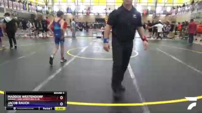 100 lbs Round 3 - Maddox Westendorf, Waverly Area Wrestling Club vs Jacob Rauch, Iowa