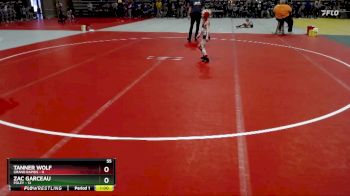 55 lbs Semis (4 Team) - Zac Garceau, Foley vs Tanner Wolf, Grand Rapids