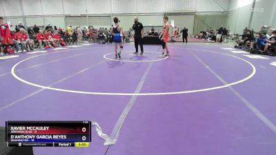 113 lbs Quarters & 1st Wb (16 Team) - Xavier Mccauley, Arkansas Blue vs D`Anthony Garcia Reyes, Washington