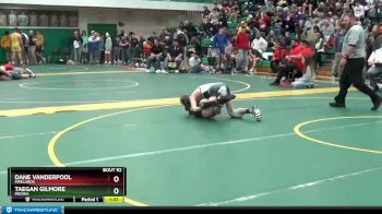 106 lbs Champ. Round 2 - Taegan Gilmore, MEDINA vs Dane Vanderpool, FIRELANDS