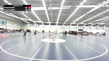 133 lbs Round 4 - Dylan Kadish, Clarion vs Dillon Arrick, Binghamton